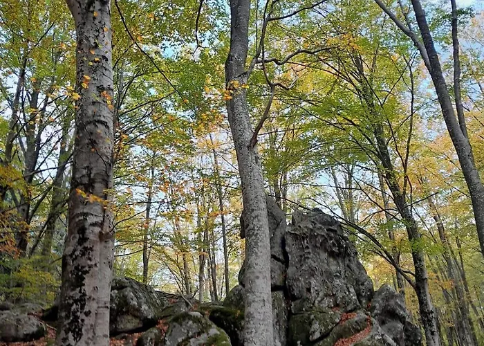 La Casa Di Lea 펜션 산타 피오라