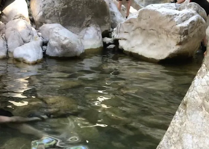 펜션 La Casa Di Lea 산타 피오라