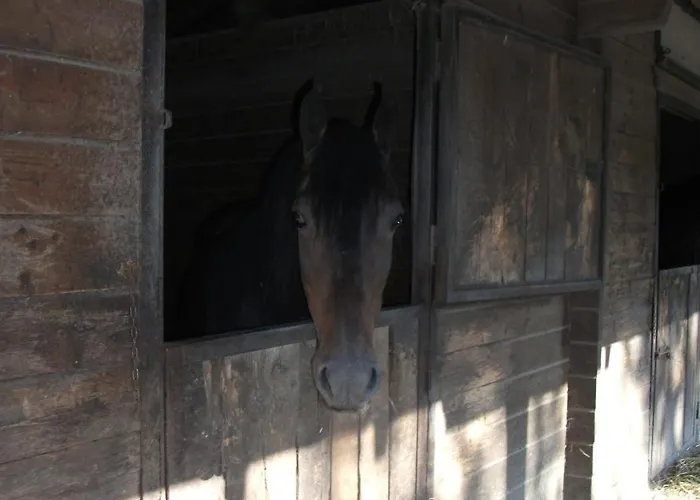 La Casa Di Lea 산타 피오라
